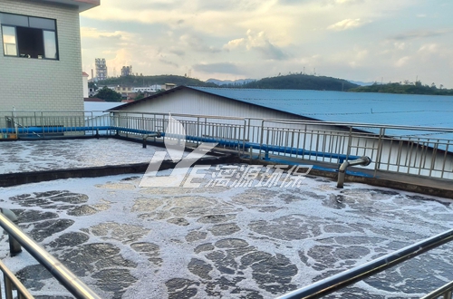 保健品生产废水处理工艺流程